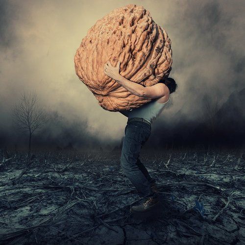 Brain as a walnut
