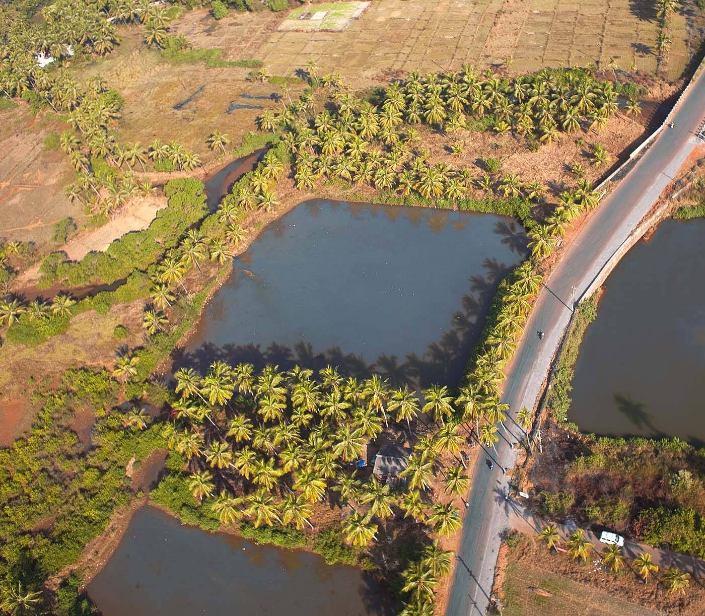 индия, пруды, туризм, аэро, aerial, Борис Резванцев