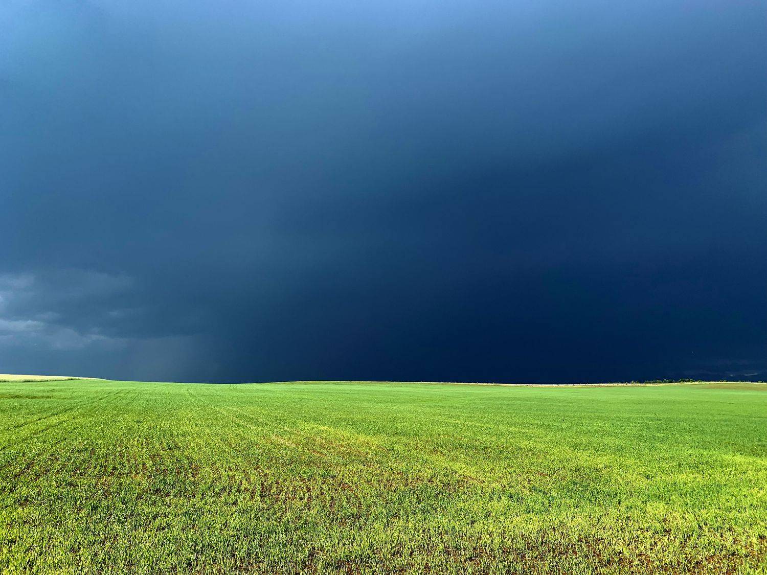 , Савицкий Ян