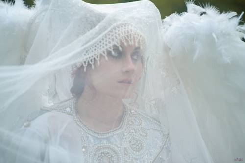 Царевна лебедь