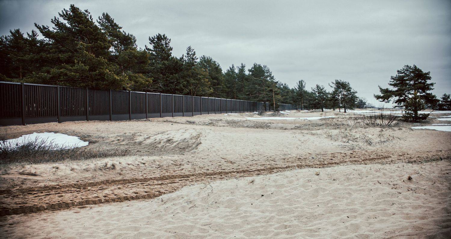 дерево, деревья, забор, зима, песок, пляж, Vladimir Kedrov