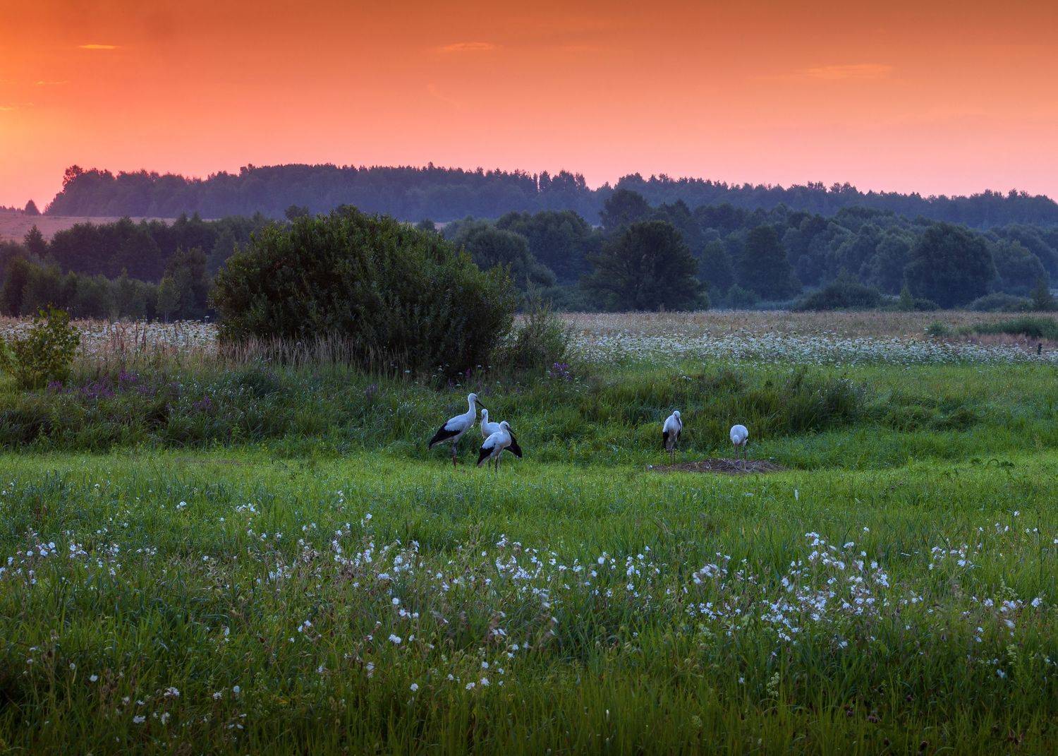 , Павел Ныриков