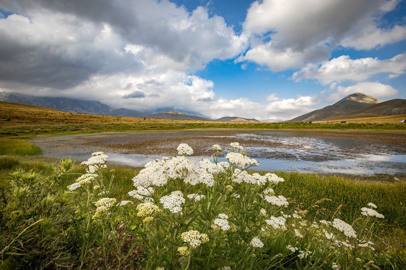 lake, flowers, sky, green, clouds, landscape, italy Landascapes фото превью