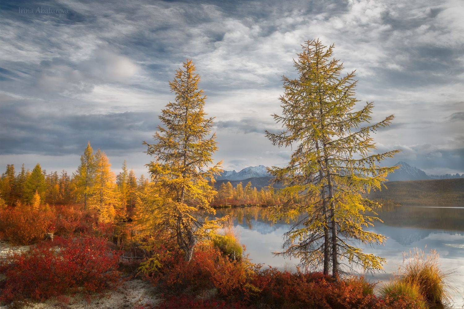 Колыма, Магадан, озеро Джека Лондона, осень, Ирина Абатурова