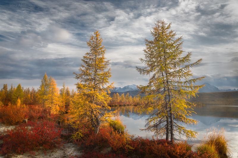 Колыма, Магадан, озеро Джека Лондона, осень Осенние краски Колымы фото превью