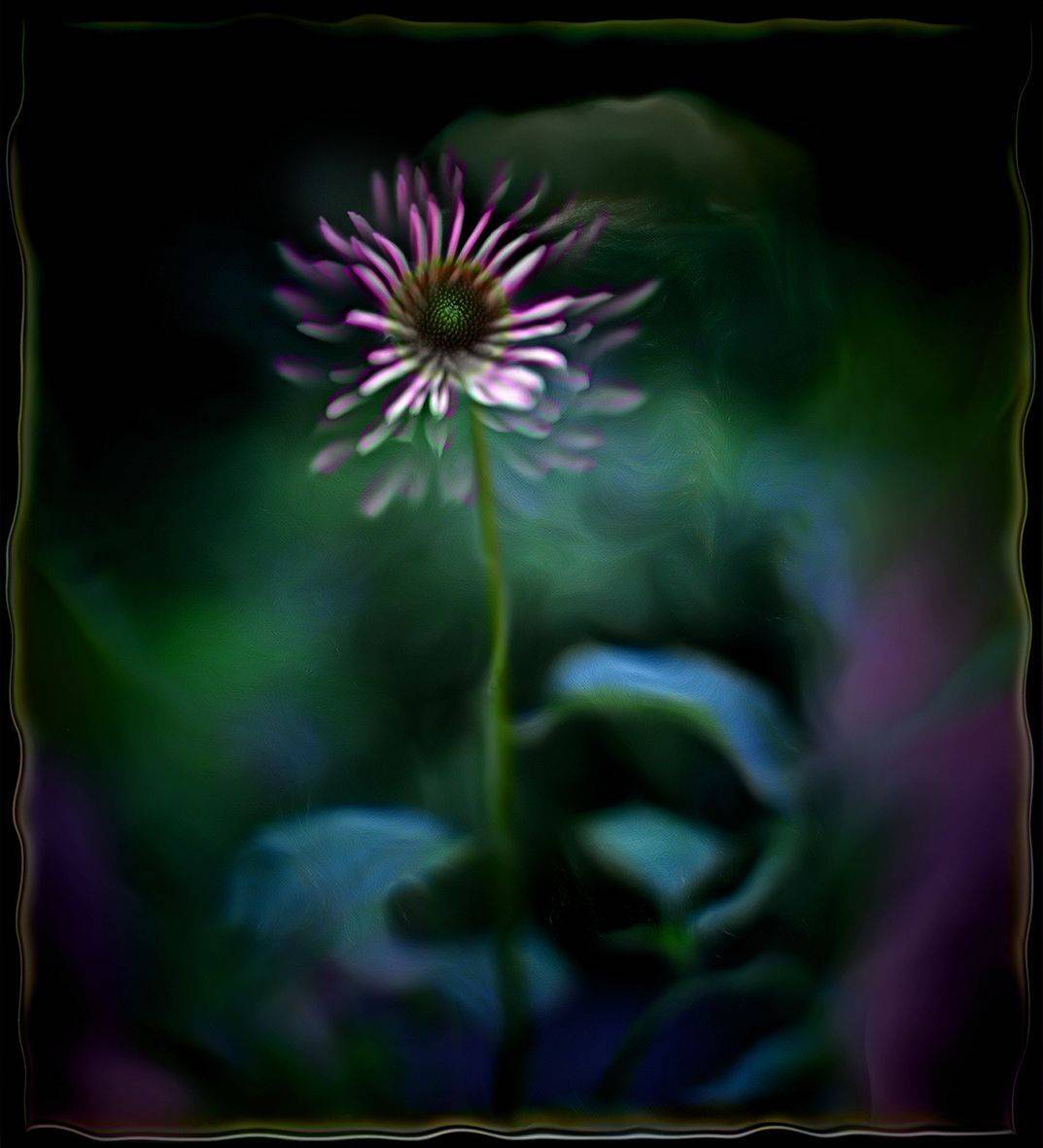 , T. Bondarenko