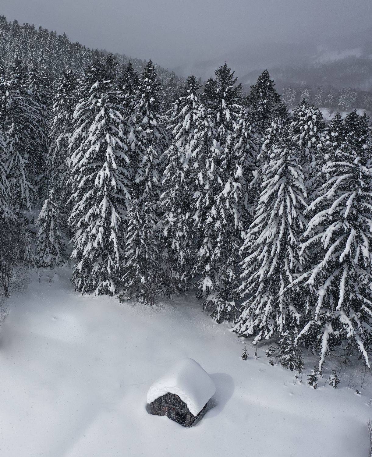 Зима, Игорь Дудковский