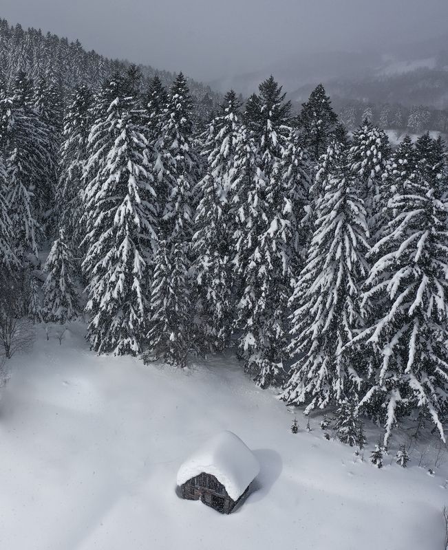 Тишина фото превью