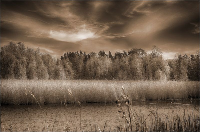 Речушка Ланга. фото превью