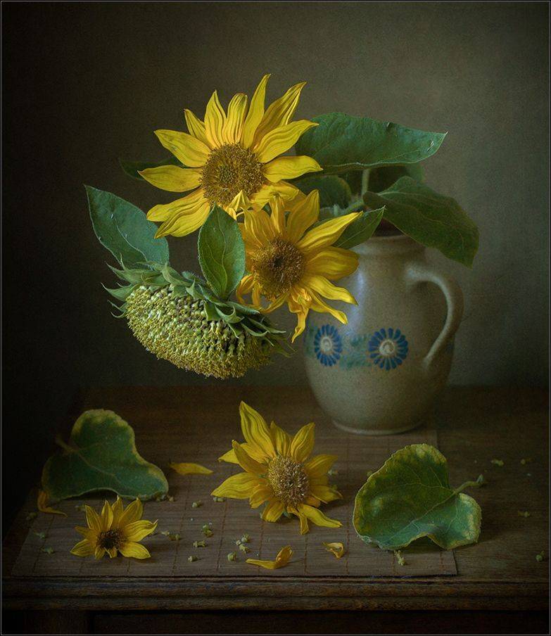 , Stein Georg