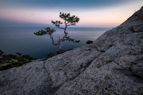 Одиночество