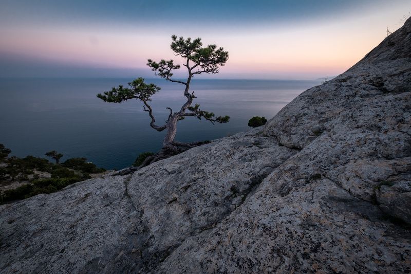 Одиночество фото превью
