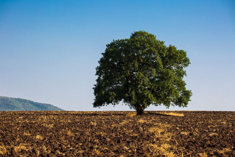 Одиночество фото превью