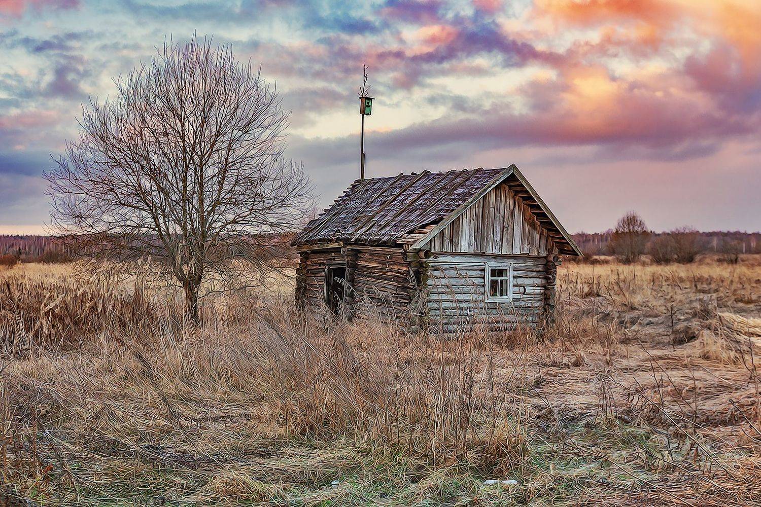 тверская область, весна, деревня, Владимир Липецких