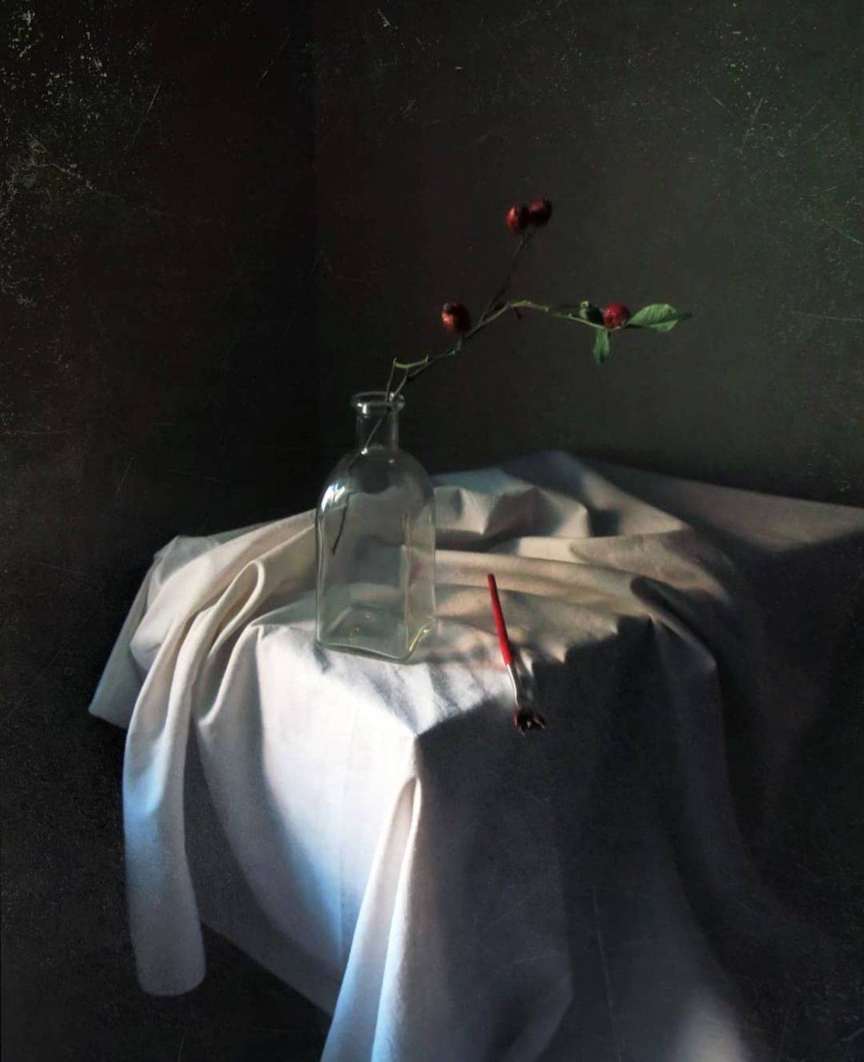 , Елена Лысенко