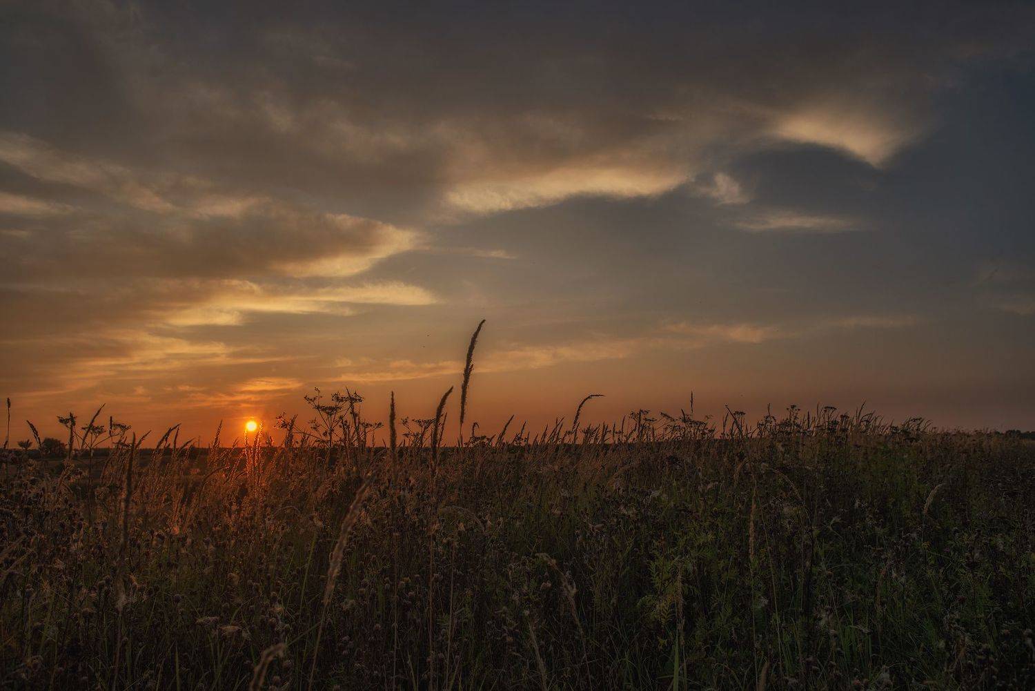 , Руслан Соколов