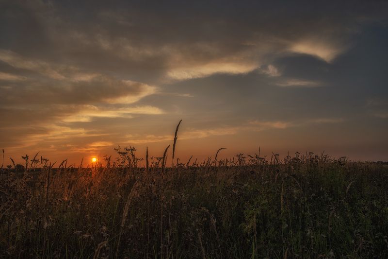 Вечер.Август. фото превью