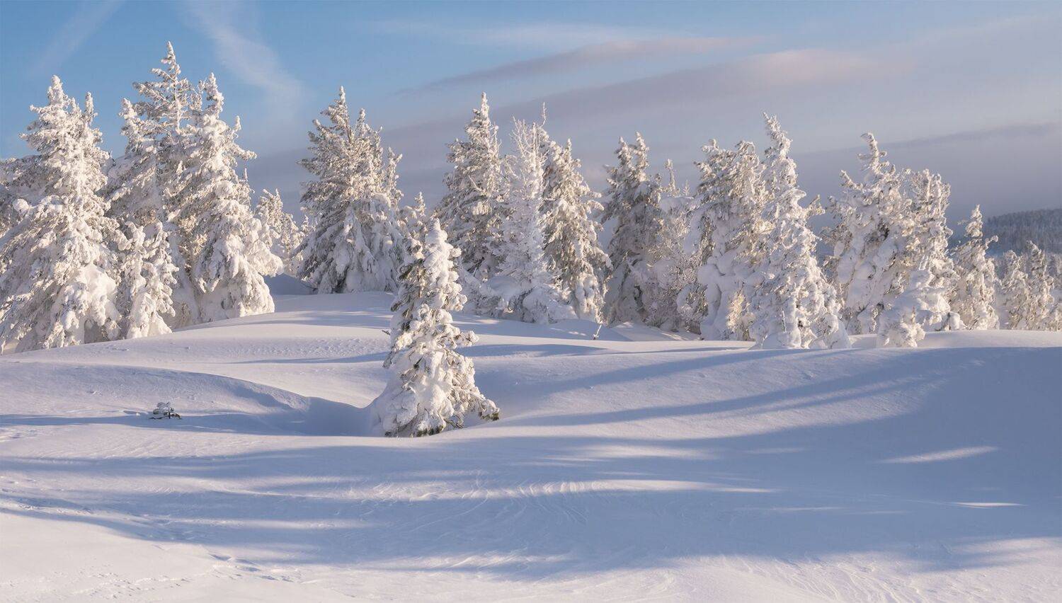 , Лещёнок Александр