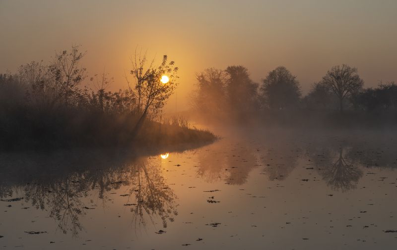 Горинь рассветная... фото превью