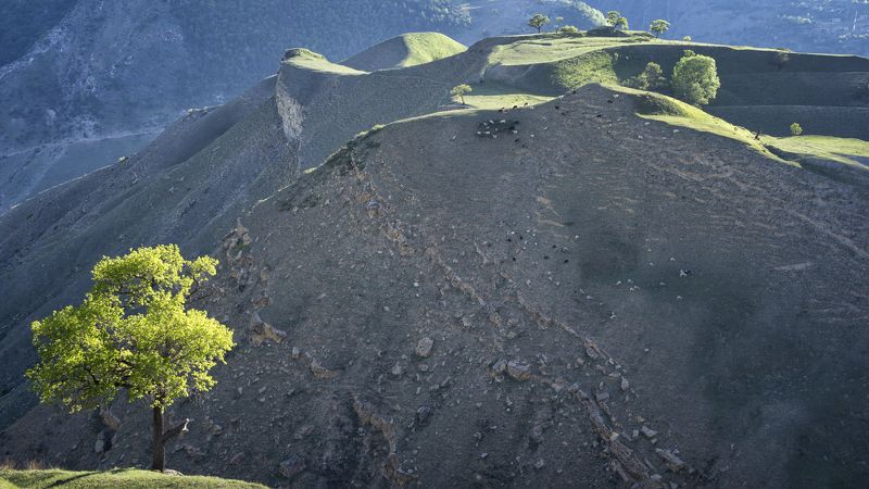 На горе пасутся... фото превью