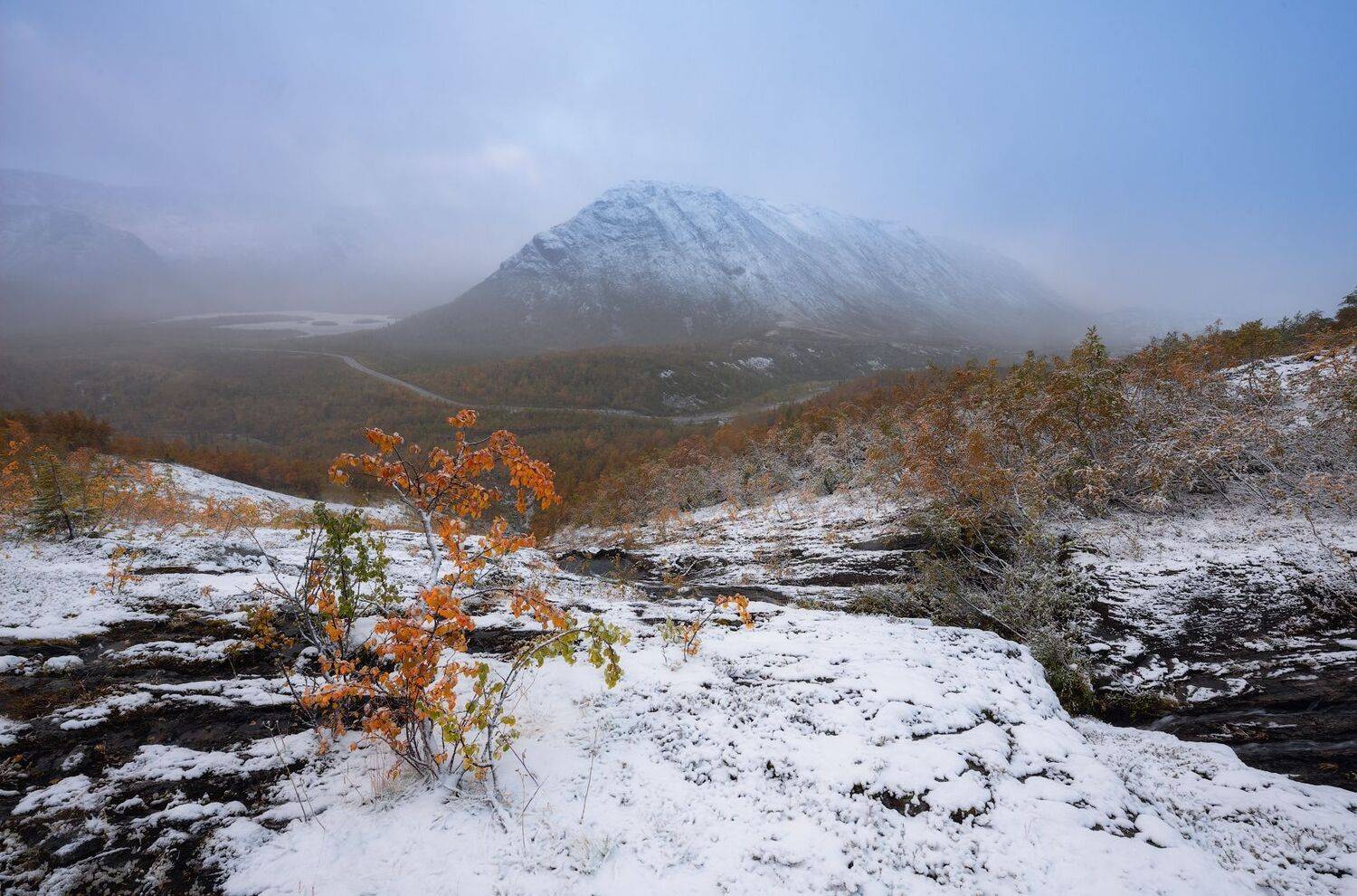 , Виталий Истомин