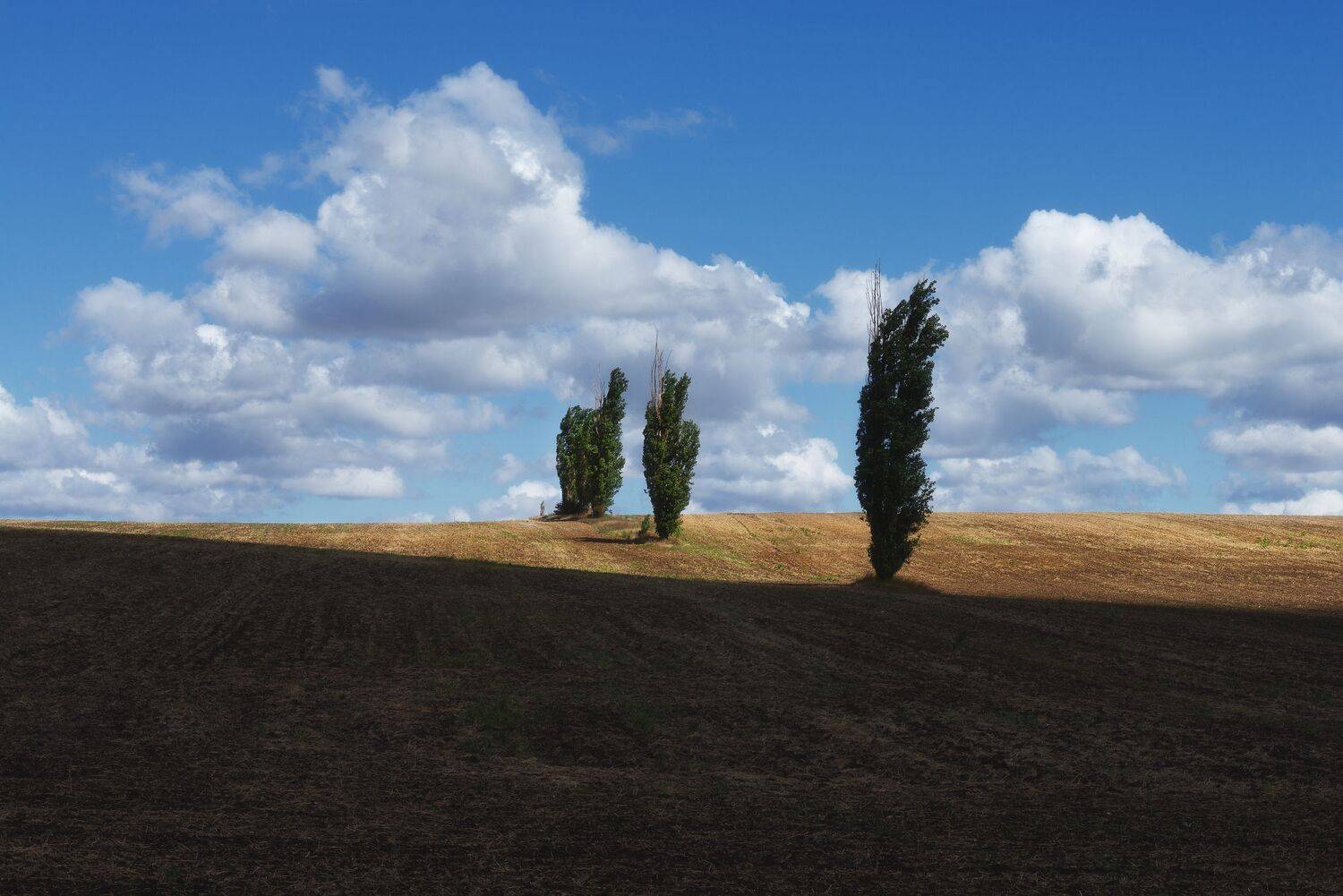 , Oleg Feofanov