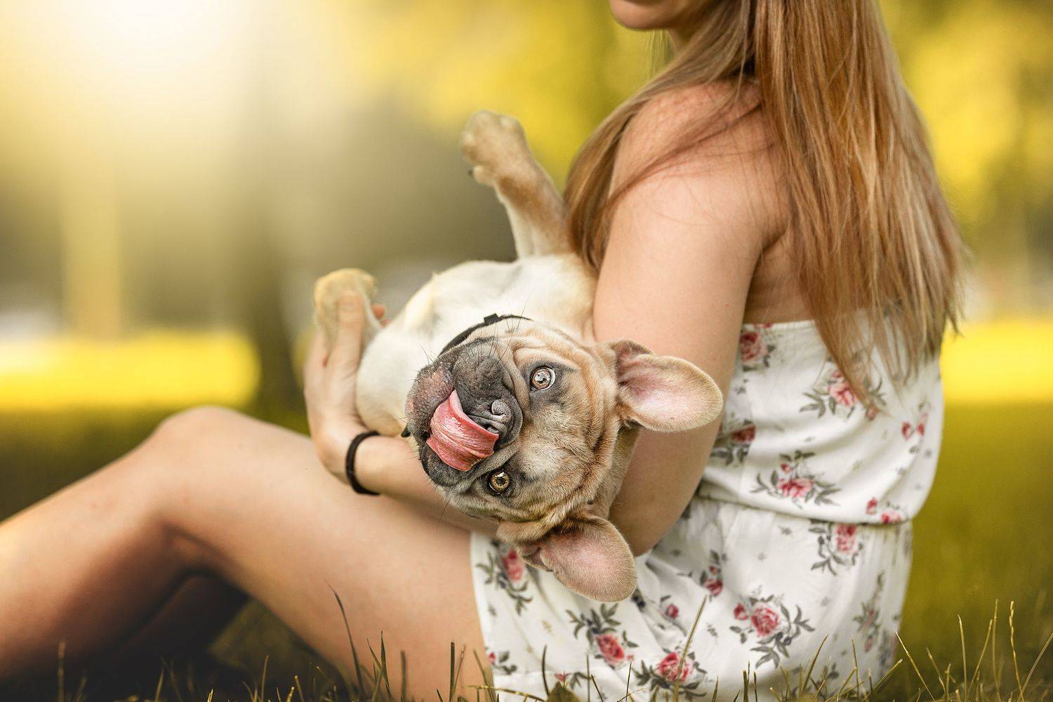 , Ольга Овчинникова