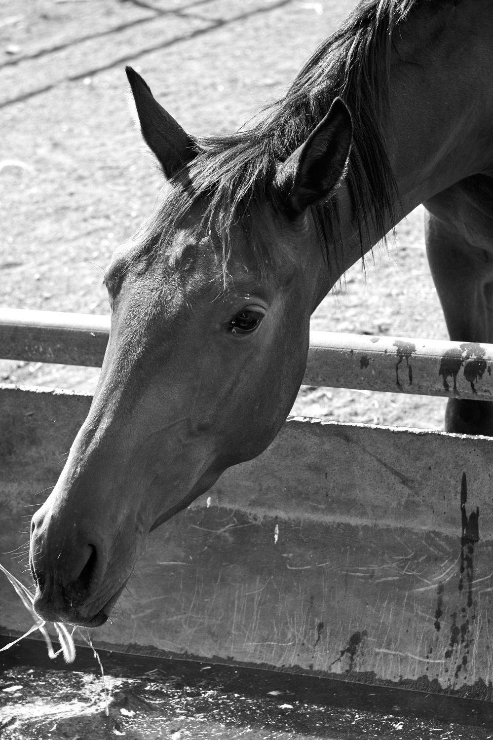 , Алексей Баландин