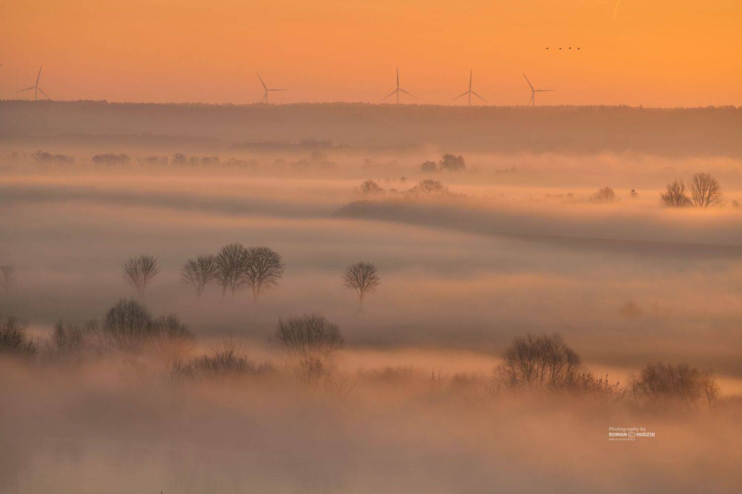 Morning mists, fog, sunrise, river, landscape, Roman Hudzik