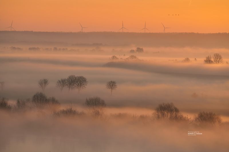 Morning mists, fog, sunrise, river, landscape Morning mists. фото превью