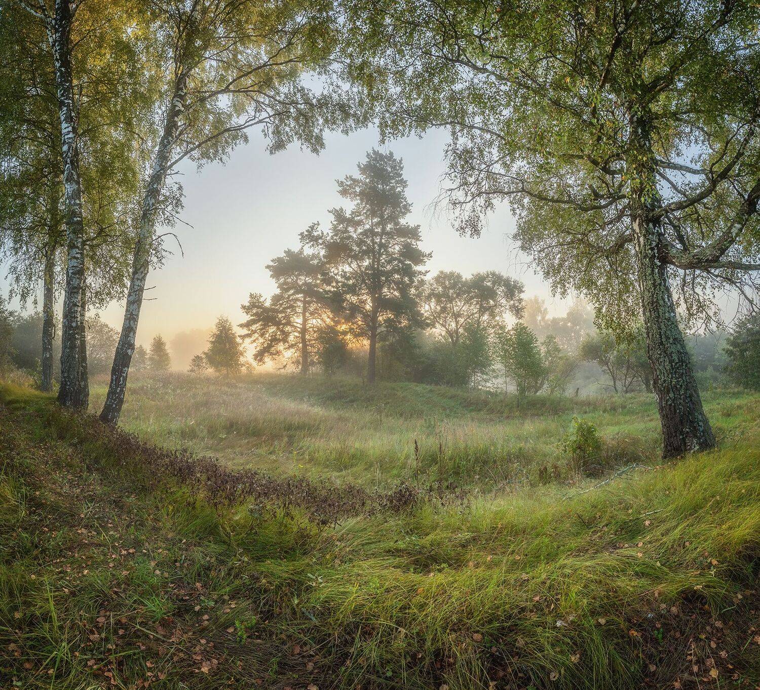 , Николай Андреев