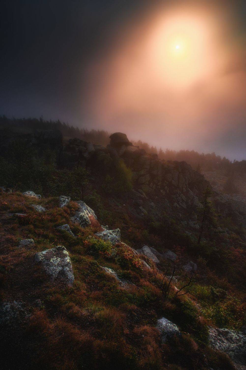 , Даниил Силантьев