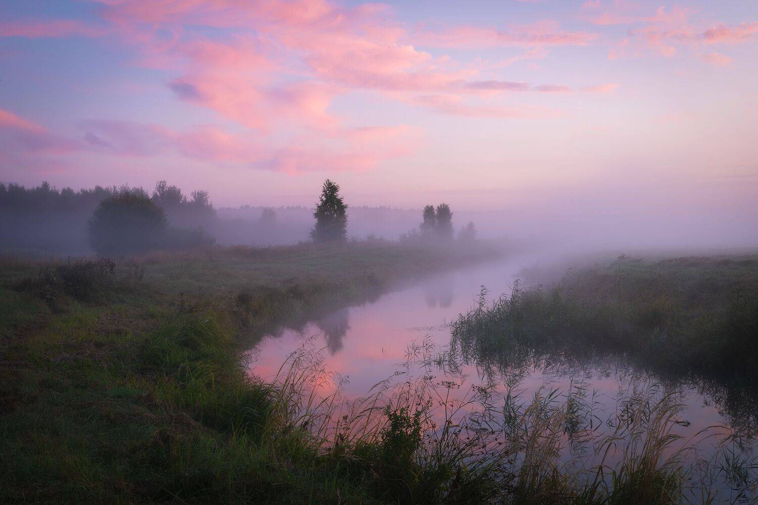 , Дмитрий Захаров