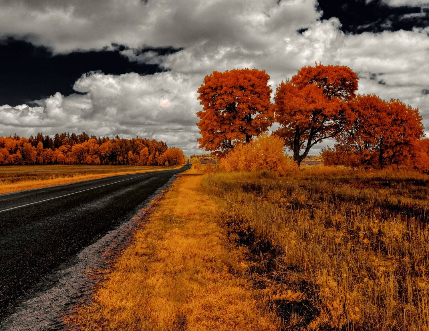 infrared,ик-фото,инфракрасное фото, инфракрасная фотография, пейзаж, лето, Sixten ( Сергей )