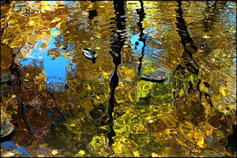 отражения фото превью