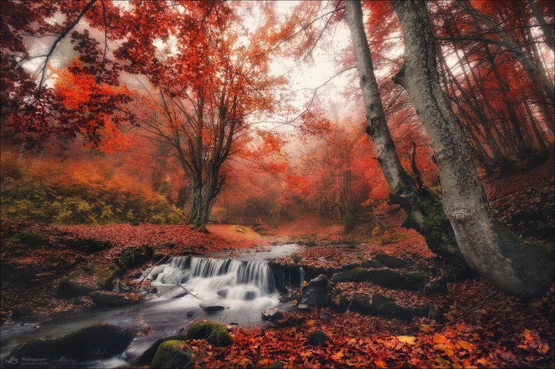 карпаты, закарпатье, водопад шипот, осень Прелести поздней осени .. фото превью