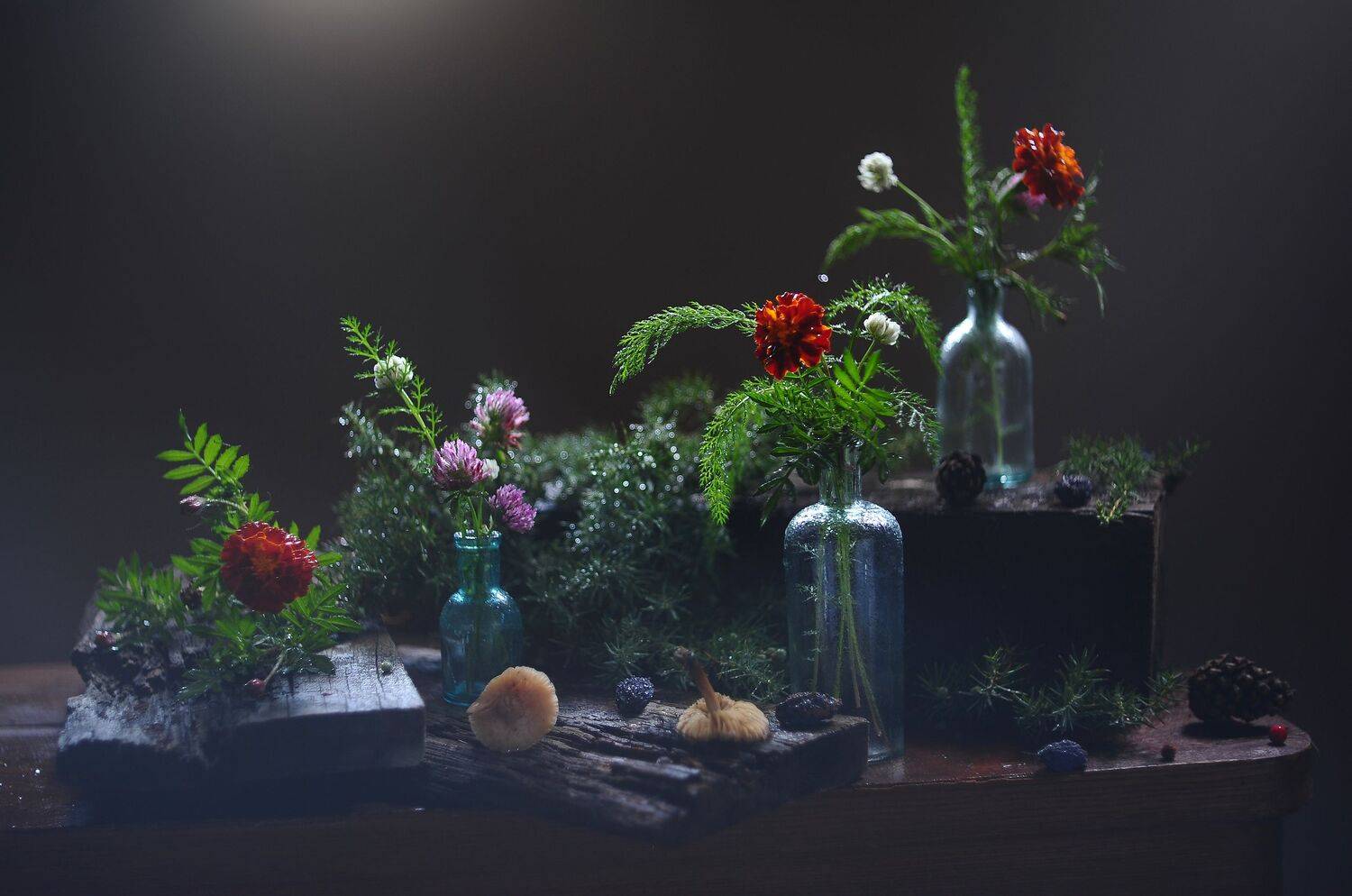 поганки, гелиос 81н, можжевельник, бархатцы, шишки, бутылочки, Оксана Евкодимова