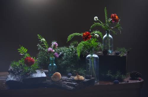 Натюрморт с поганками.