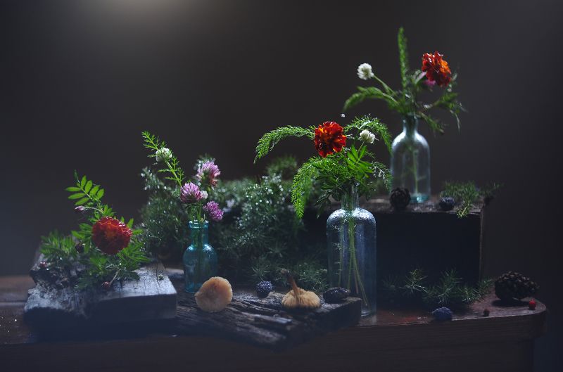 Натюрморт с поганками. фото превью