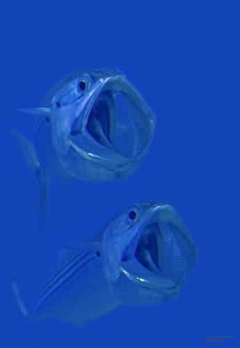 Еперный театр