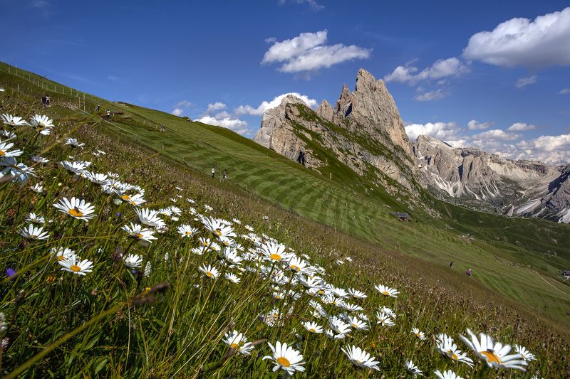 italy, landscape, dolomiti,  Seceda фото превью