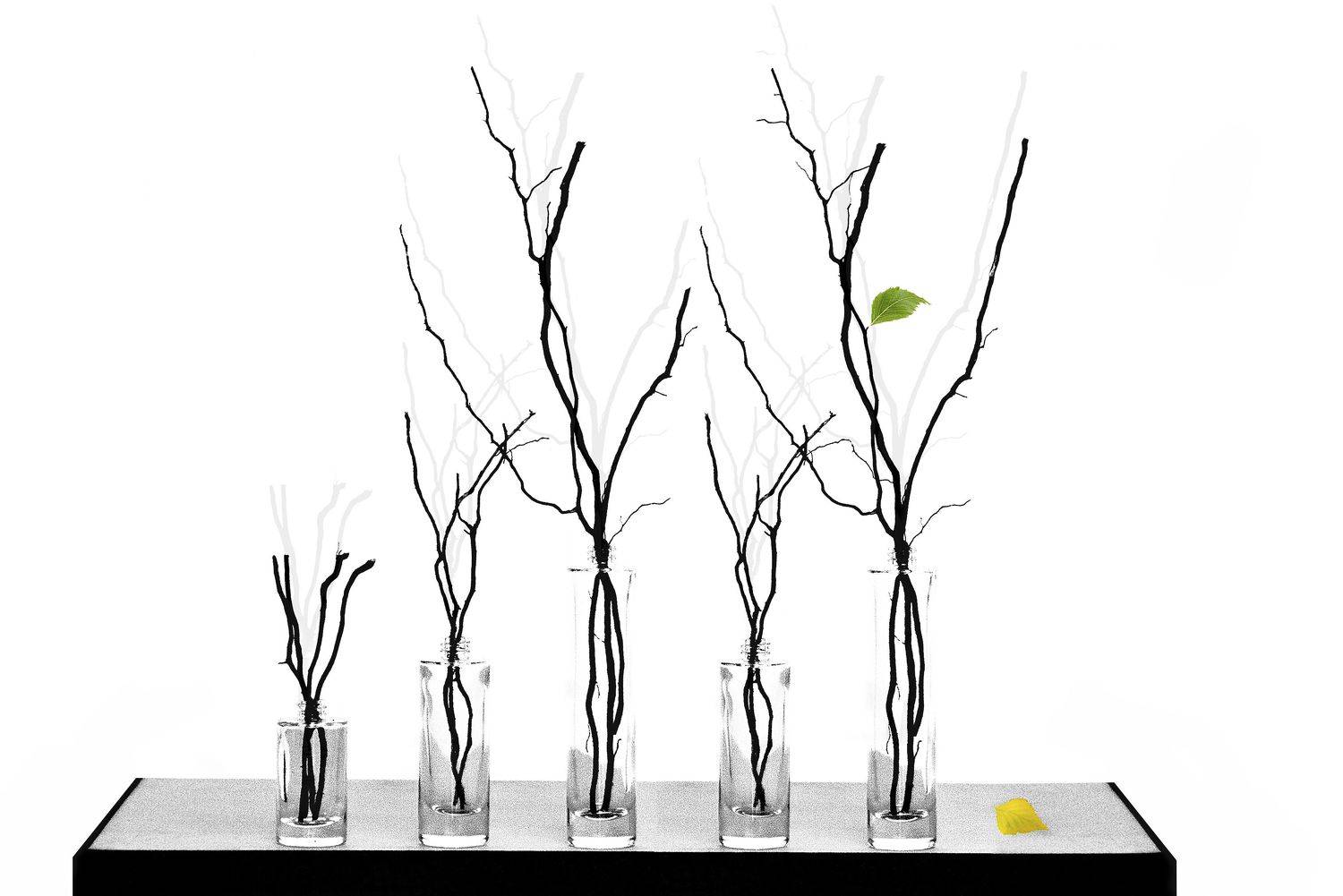 , Alex Yungan Harahap