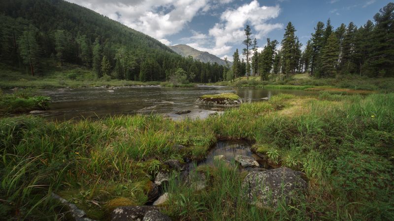 Воды чистые Алтая фото превью