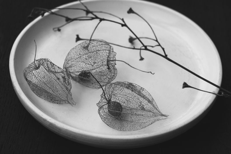 натюрморт, минимализм, черно-белый натюрморт Хрупкость фото превью