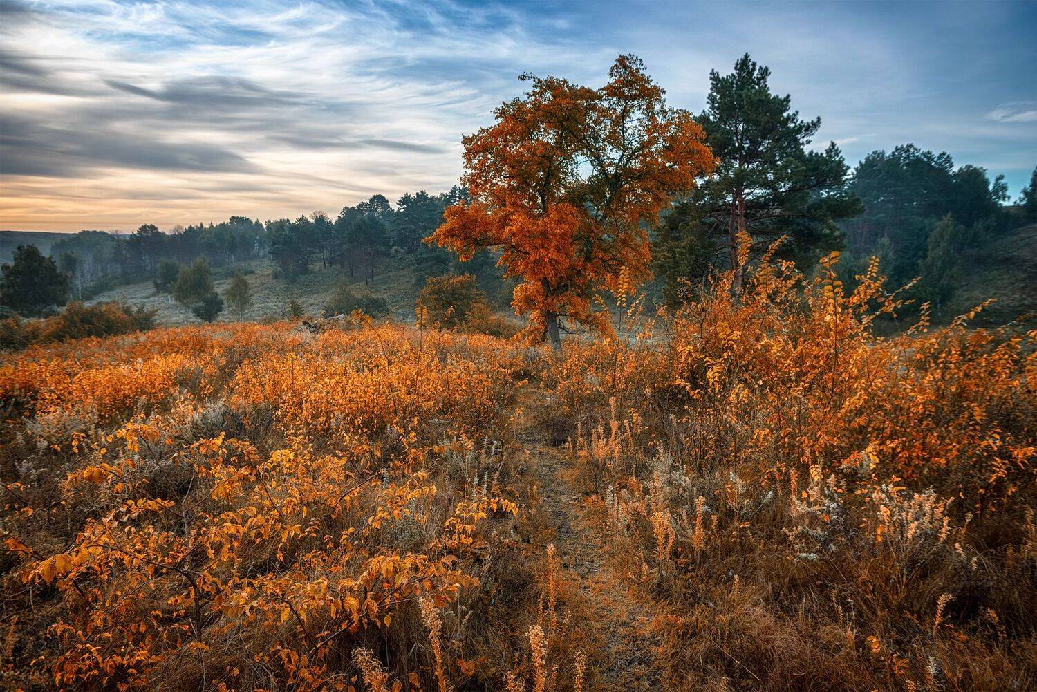 , Юрий Юрьев
