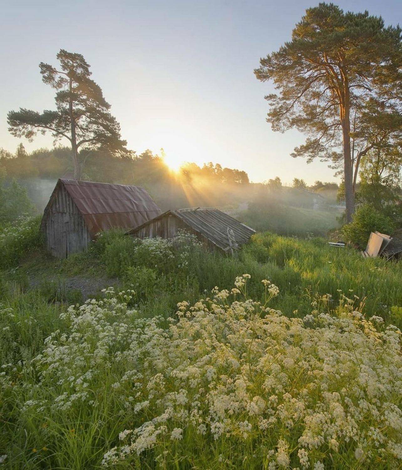 Деревня, рассвет, туман, река, карелия, Петр Косых