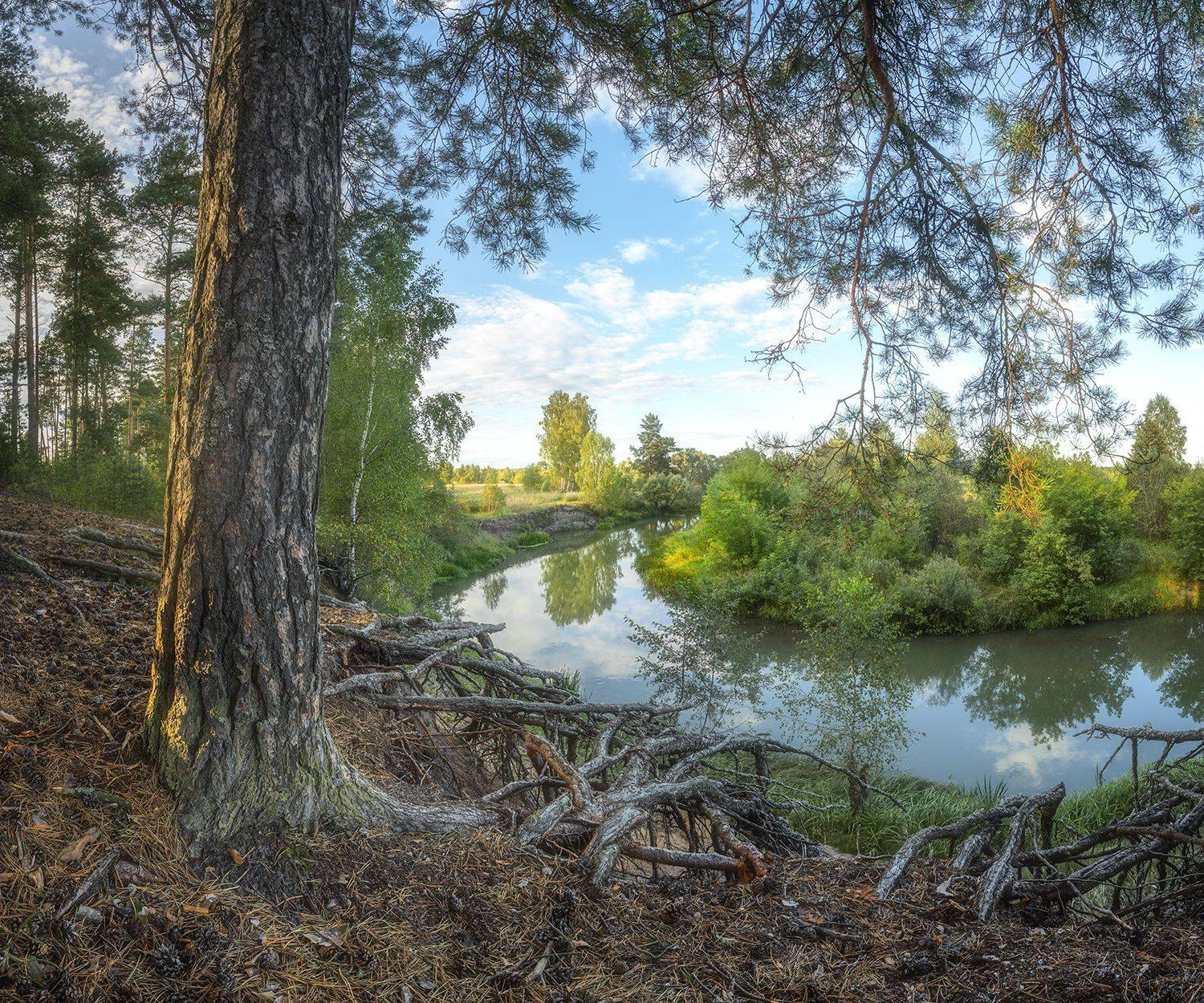 , Николай Андреев