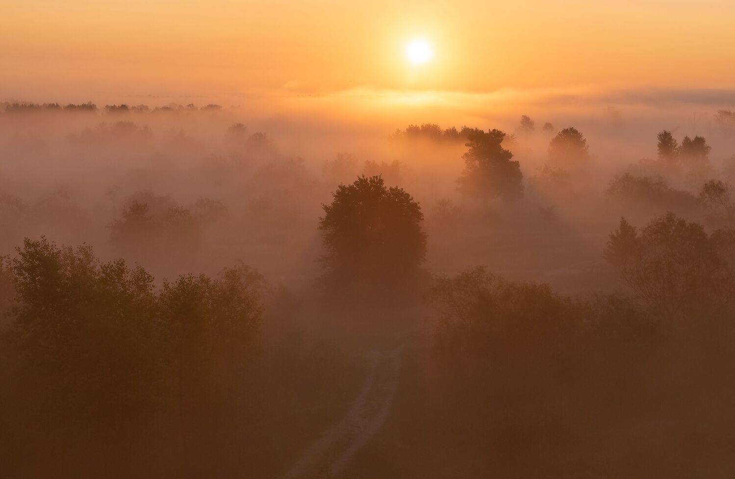 , Дмитрий Захаров