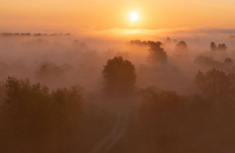 По дороге к солнцу фото превью