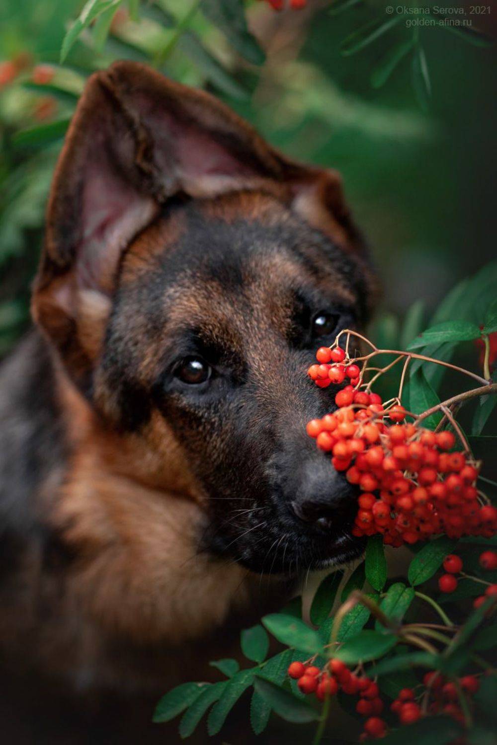 , Оксана Серова